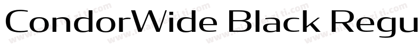 CondorWide Black Regular字体转换